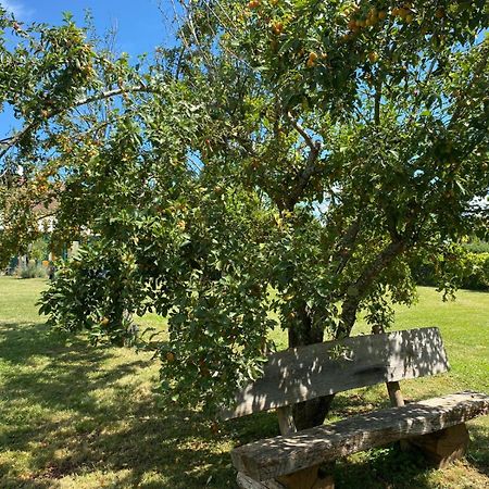 Les Feuilles Jaunes Chantenay-Saint-Imbert Exteriör bild