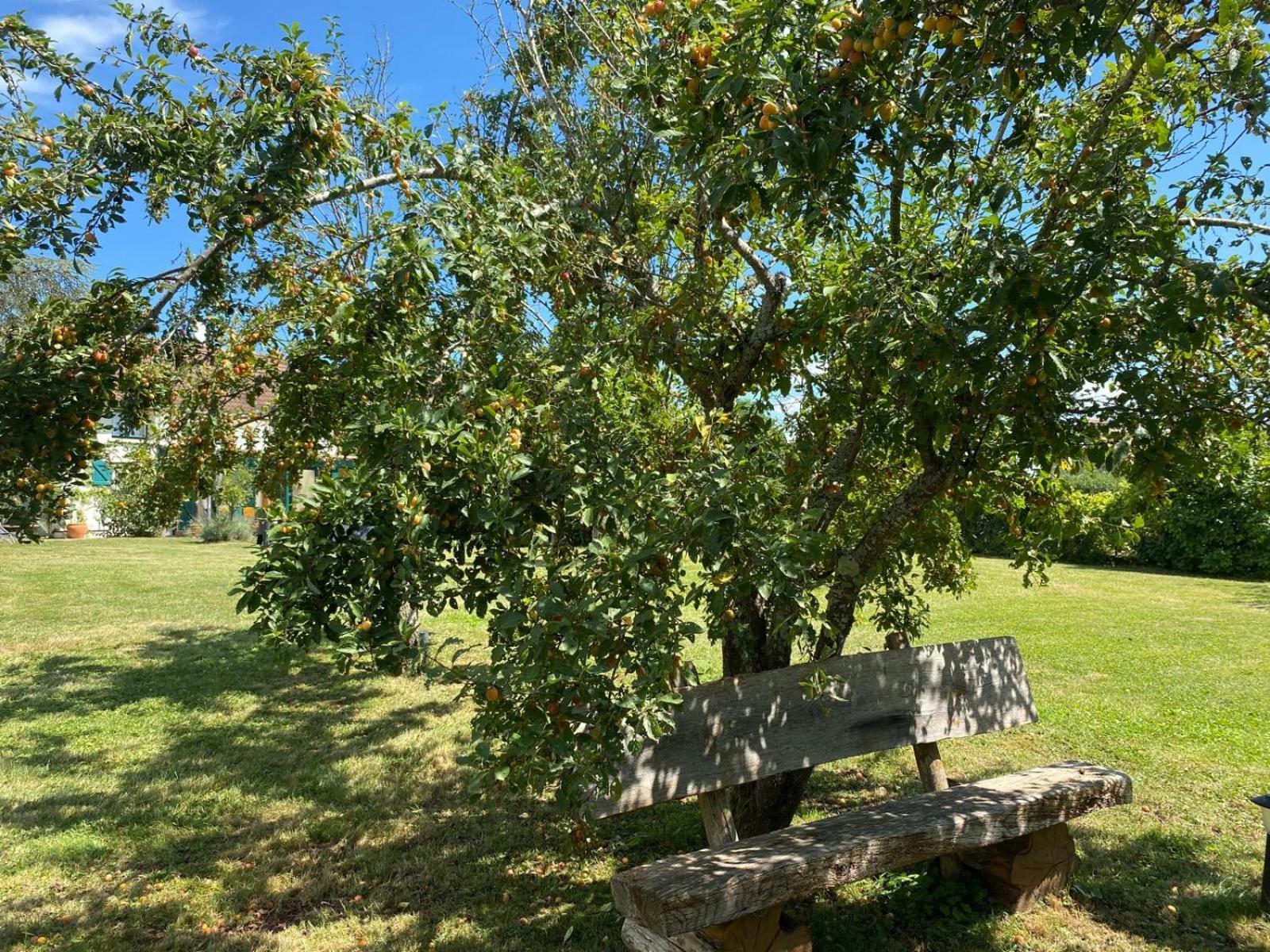Les Feuilles Jaunes Chantenay-Saint-Imbert Exteriör bild
